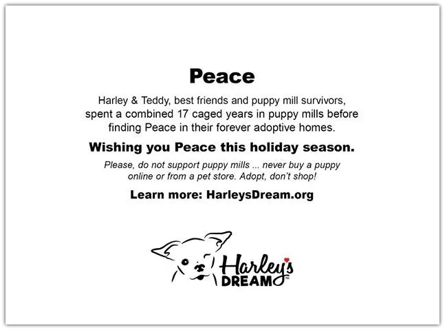 Holiday Cards - Peace (set of 6)