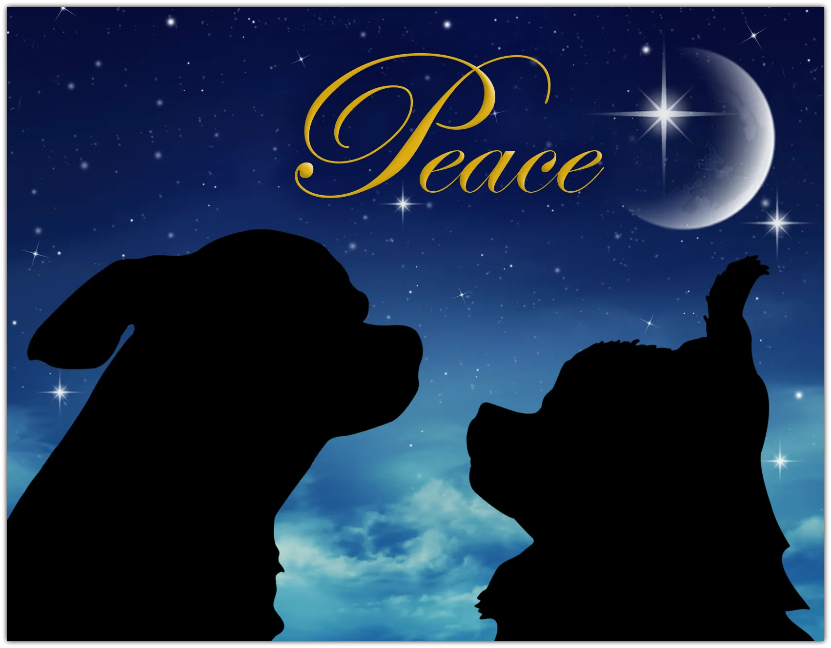 Holiday Cards - Peace (set of 6)