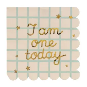 I Am One Today Teddy Bear Paper Napkins (12)