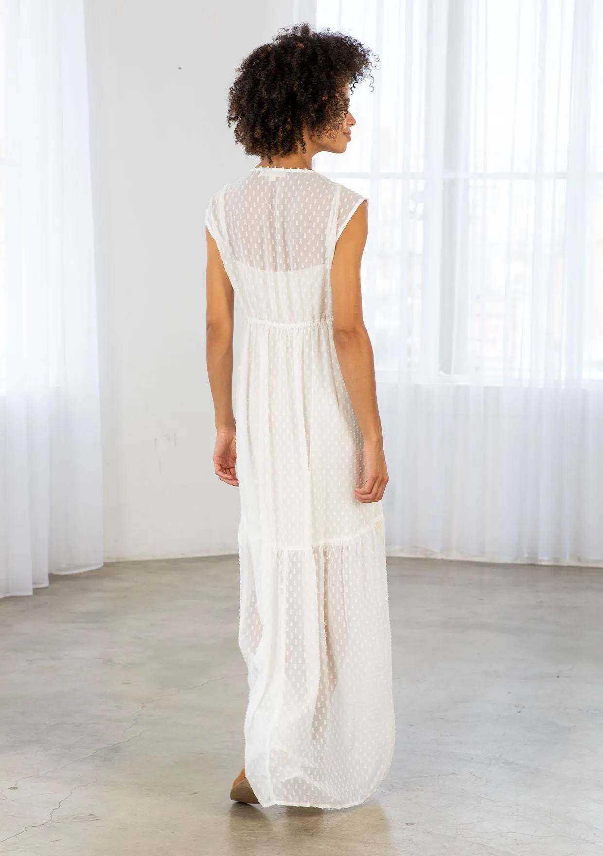 Sheer Swiss Dot Chiffon Sleeveless Maxi Dress