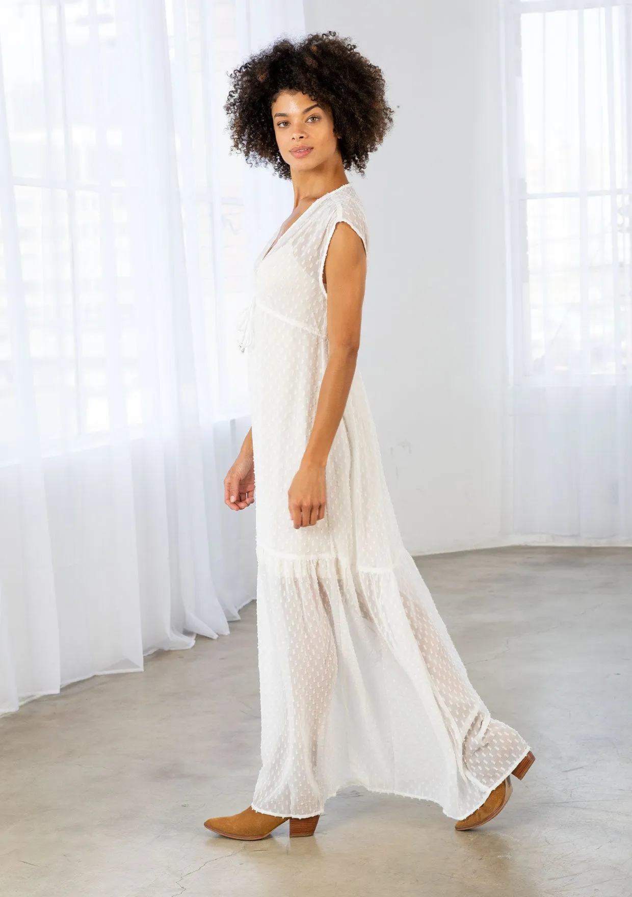 Sheer Swiss Dot Chiffon Sleeveless Maxi Dress