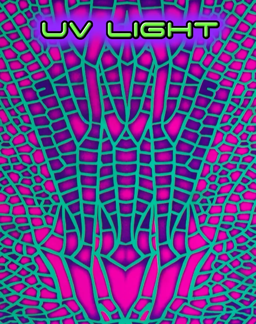 Teddy Bear : Acid Dragonfly