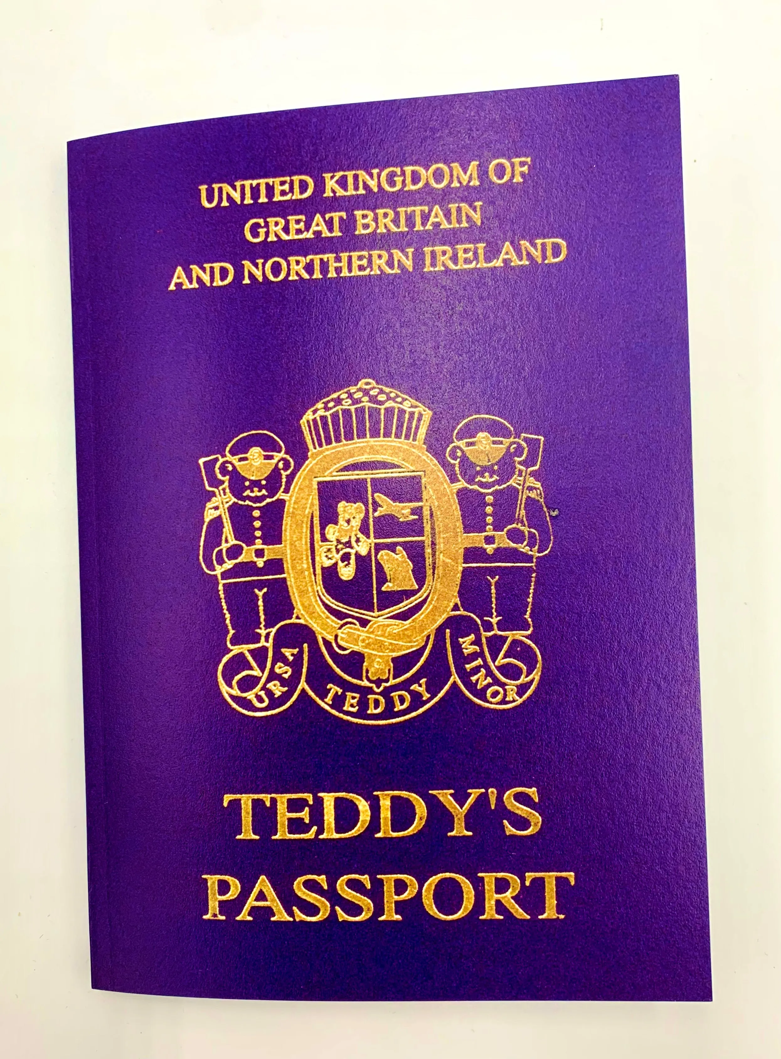 Teddy Bear Passport - 25 pages