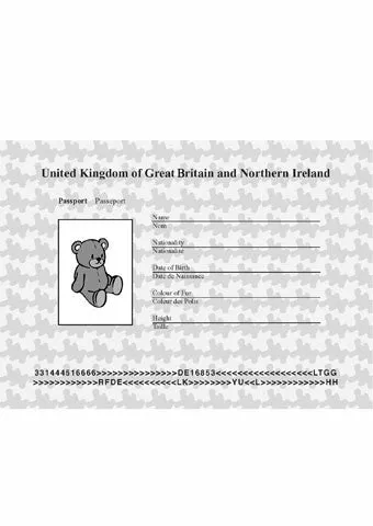 Teddy Bear Passport - 25 pages