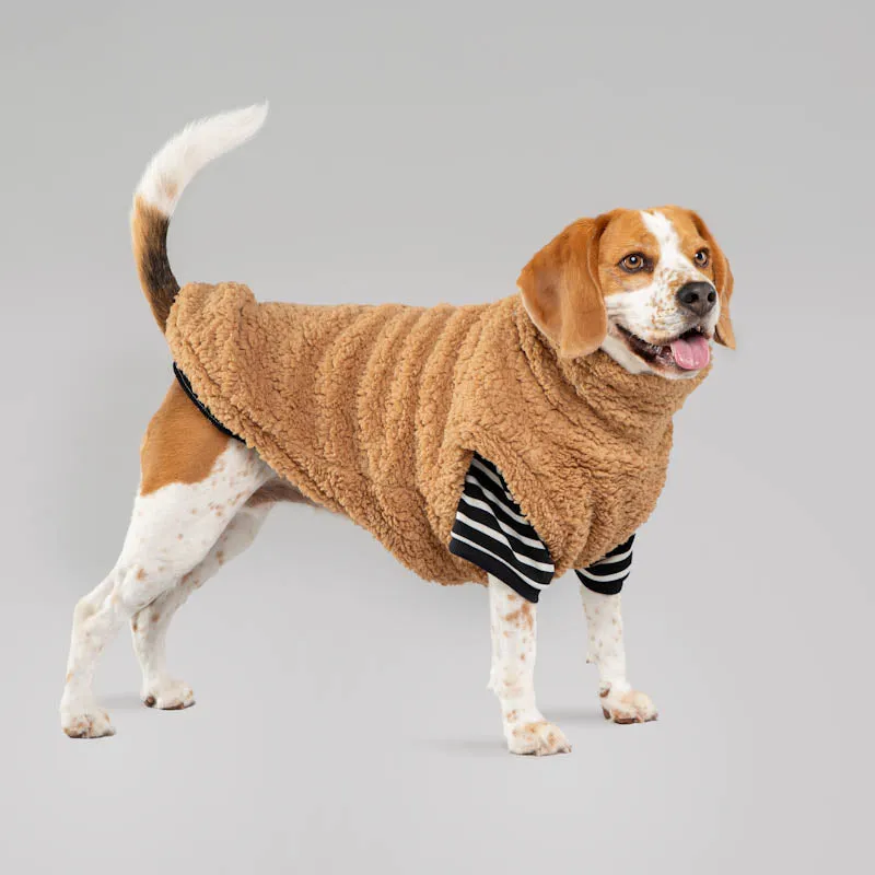 Teddy Fleece ~ I love you a Latte ~ dog jersey