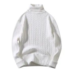 Vintage Solid Color Knitwear Turtleneck Mens Sweaters Fashion Twist Knitwear L S2227118